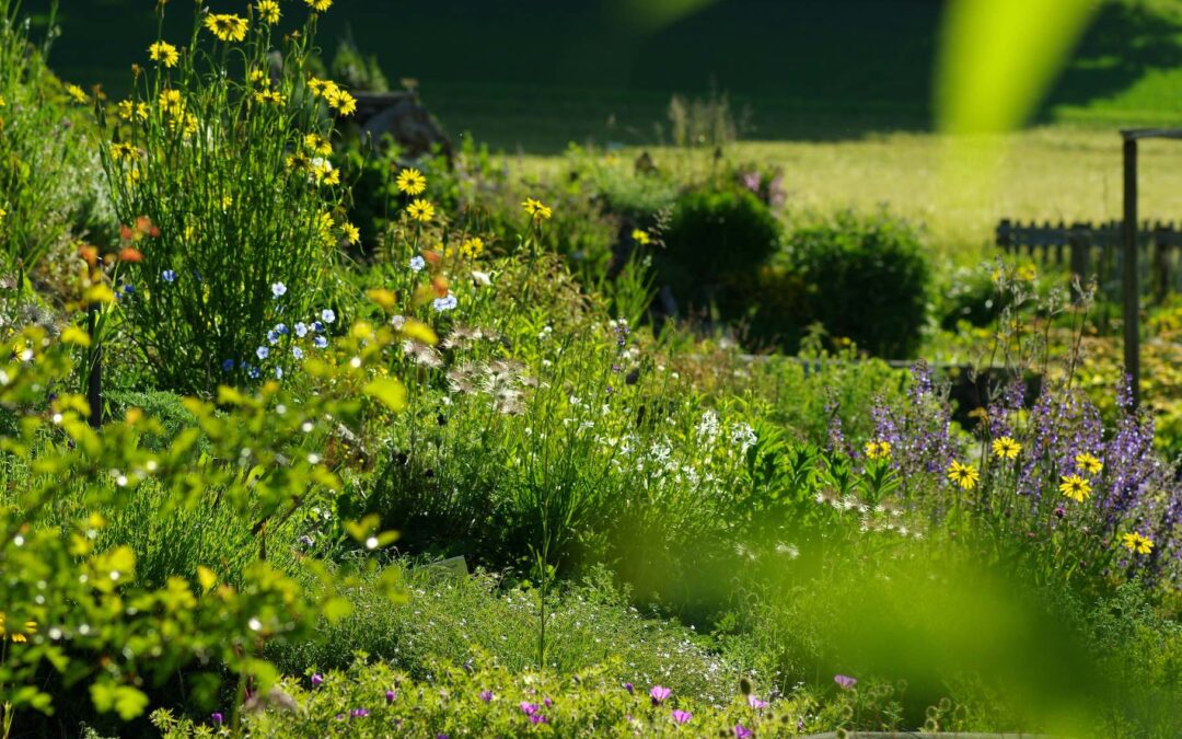 AUF TUCHFÜHLUNG MIT BIODIVERSITÄT